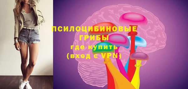 индика Беломорск