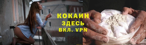 индика Беломорск