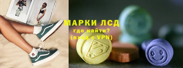 индика Беломорск