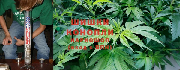 индика Беломорск