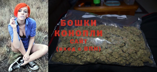 индика Беломорск