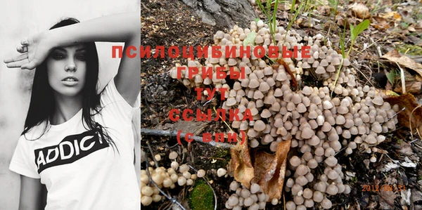 мдпв Баксан