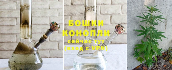 индика Беломорск