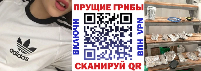 закладка  Чулым  Галлюциногенные грибы ЛСД 